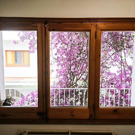 El Penell Apartament Llevant Vilamaniscle المظهر الخارجي الصورة