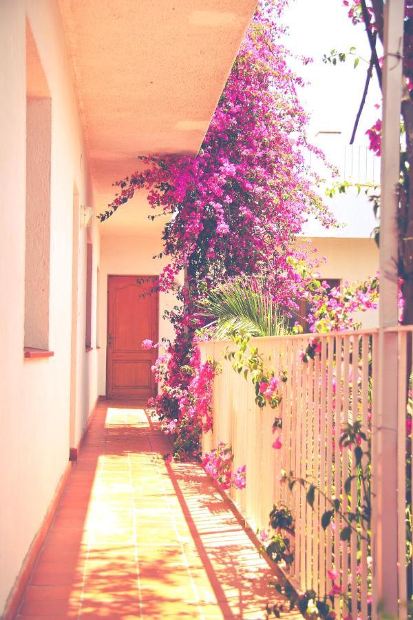 El Penell Apartament Llevant Vilamaniscle المظهر الخارجي الصورة