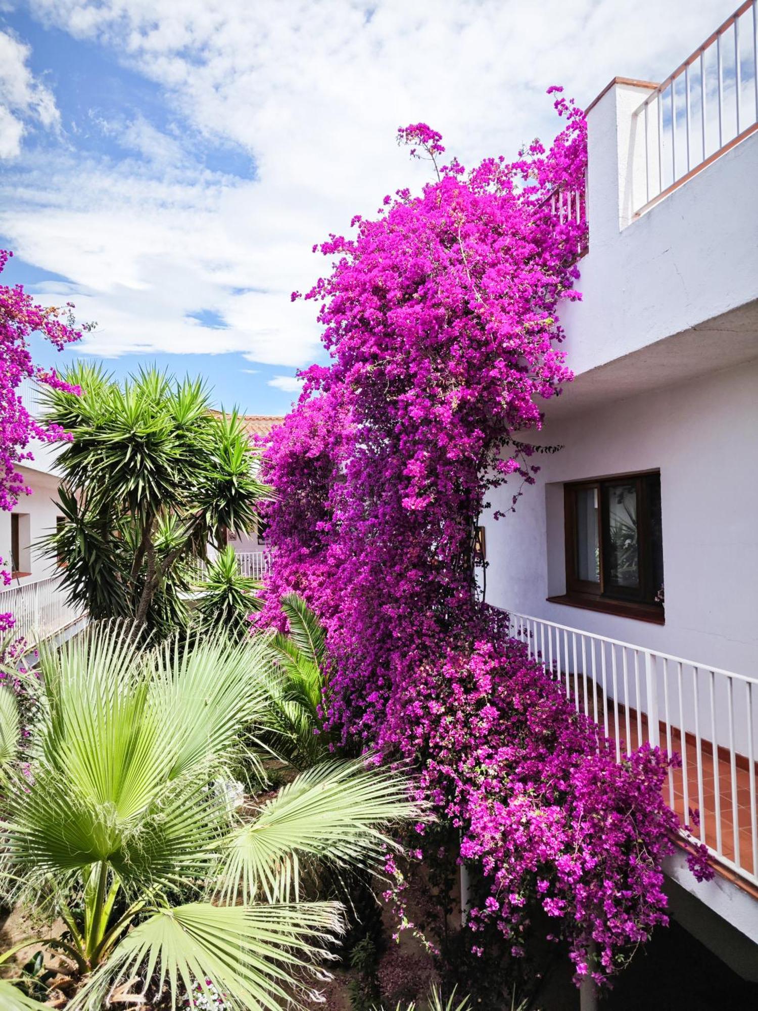 El Penell Apartament Llevant Vilamaniscle المظهر الخارجي الصورة